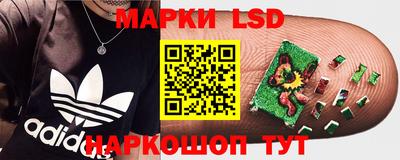 ПСИЛОЦИБИНОВЫЕ ГРИБЫ Наро-Фоминск